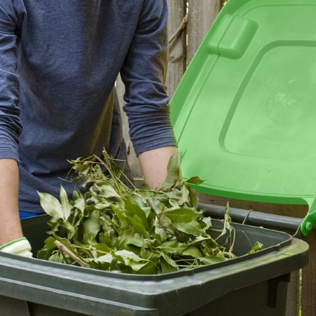 Rubbish Removal Buckland, Skip Bins Tasmania, Skip Bin Hire Bicheno