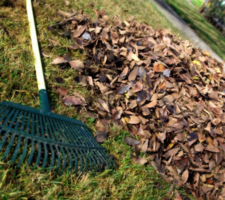 Rubbish Removal Tasmania, Local Skip Bin Sorell, Skip Bins Coles Bay